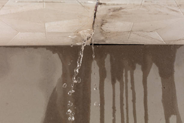 Professional Water Damage Inspection technician working in Charlton Heights, WV